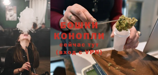 индика Осинники