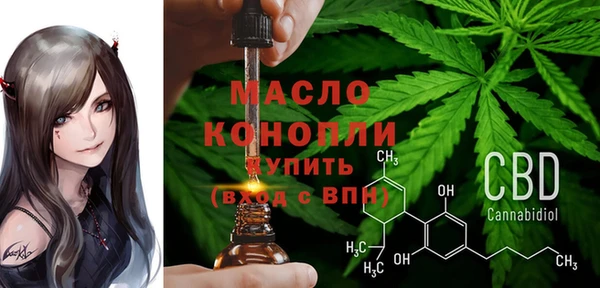 индика Осташков
