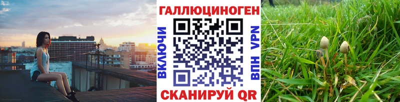 Псилоцибиновые грибы Psilocybine cubensis  блэк спрут зеркало  Красновишерск 